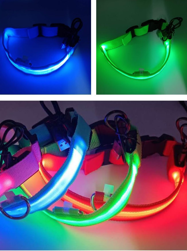 Nylon LED Dog Collar Rechargeable Glow Safety
