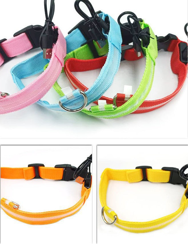 Nylon LED Dog Collar Rechargeable Glow Safety