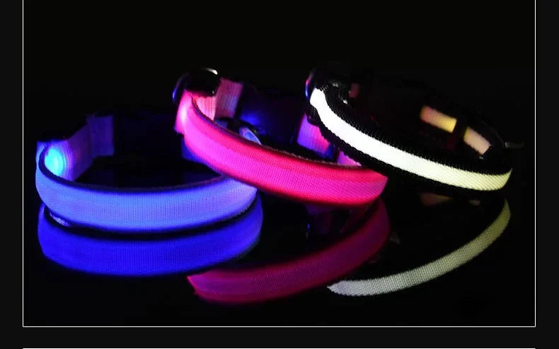 Nylon LED Dog Collar Rechargeable Glow Safety