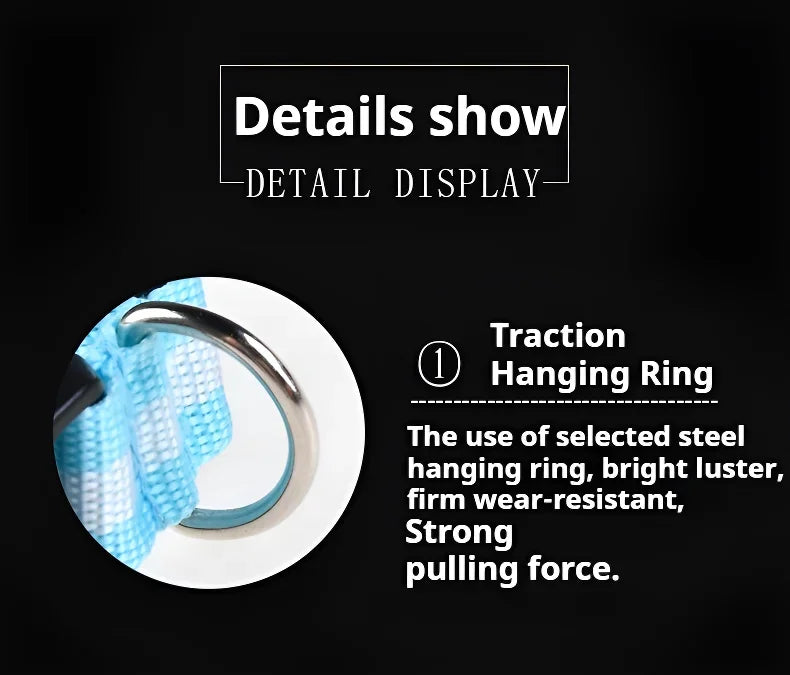 Nylon LED Dog Collar Rechargeable Glow Safety