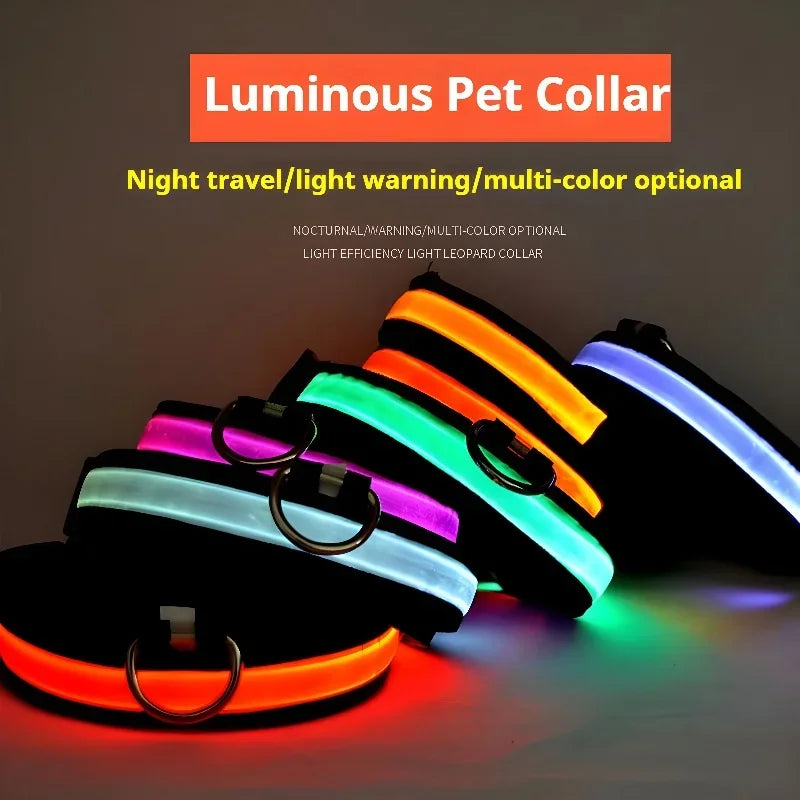 Nylon LED Dog Collar Rechargeable Glow Safety