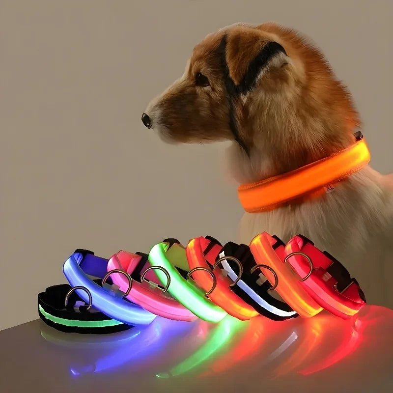 Nylon LED Dog Collar Rechargeable Glow Safety