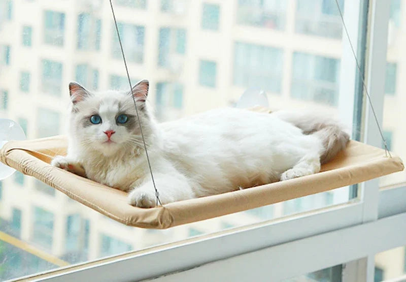 Hanging Cat Hammock Window Bed With Suction