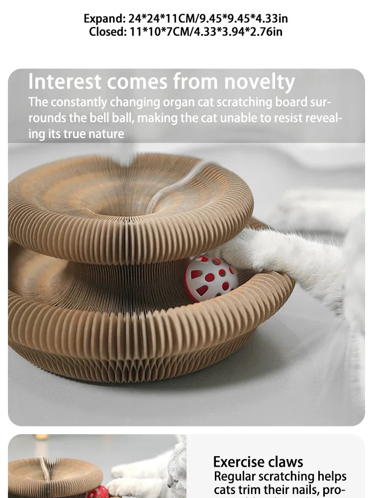 Organ Shape Cat Scratcher with Bell Toy
