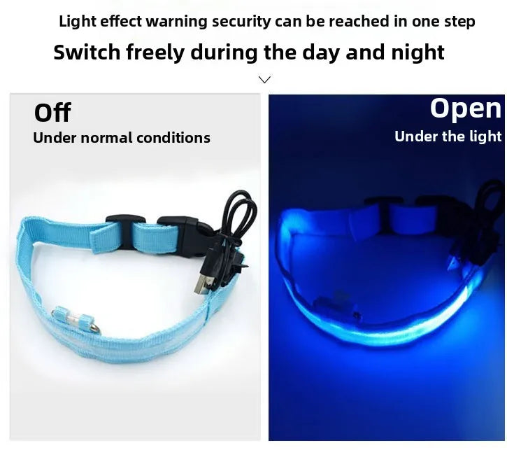 Nylon LED Dog Collar Rechargeable Glow Safety