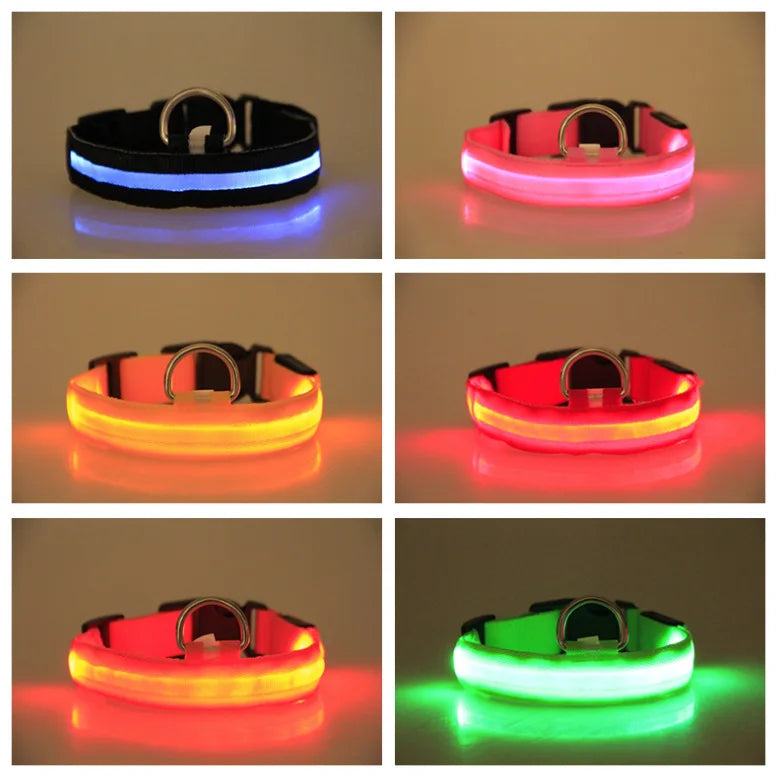 Nylon LED Dog Collar Rechargeable Glow Safety
