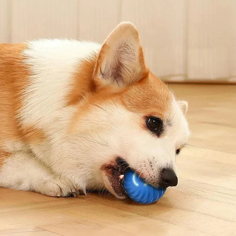 USB Smart Bouncing Ball Interactive Dog Toy