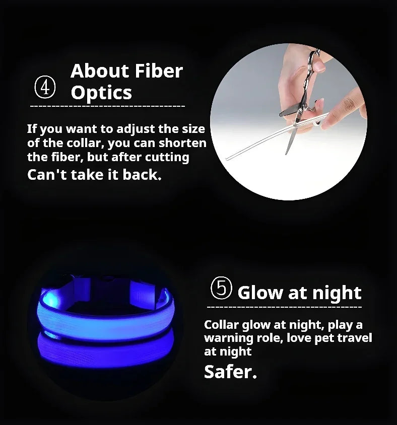 Nylon LED Dog Collar Rechargeable Glow Safety