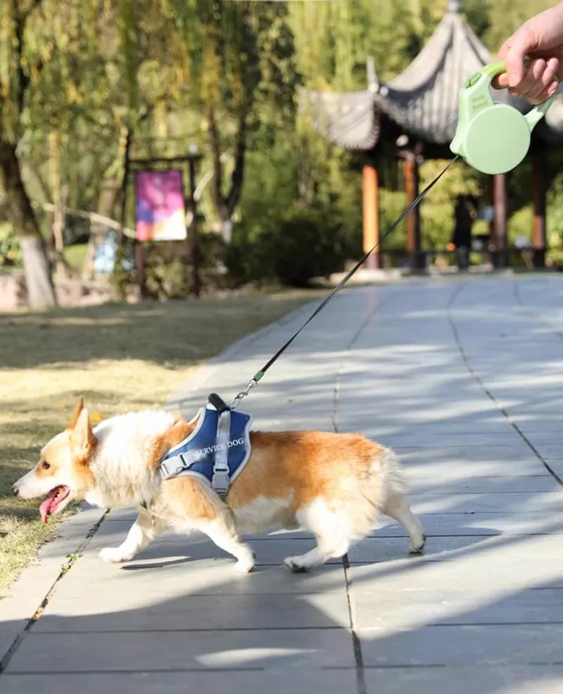 Durable Retractable Pet Leash with Reflective Tape