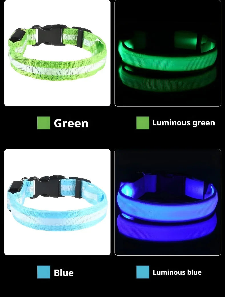Nylon LED Dog Collar Rechargeable Glow Safety