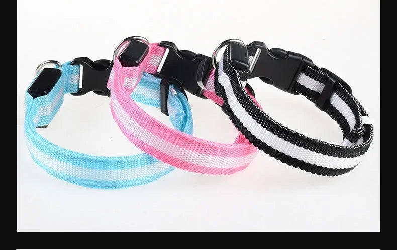 Nylon LED Dog Collar Rechargeable Glow Safety