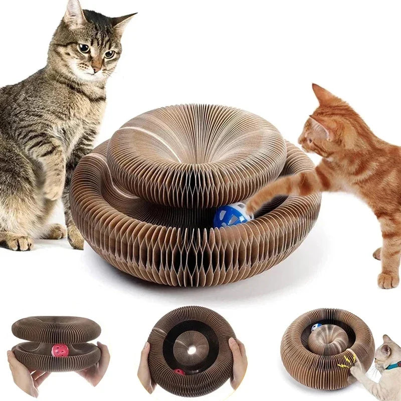 Organ Shape Cat Scratcher with Bell Toy