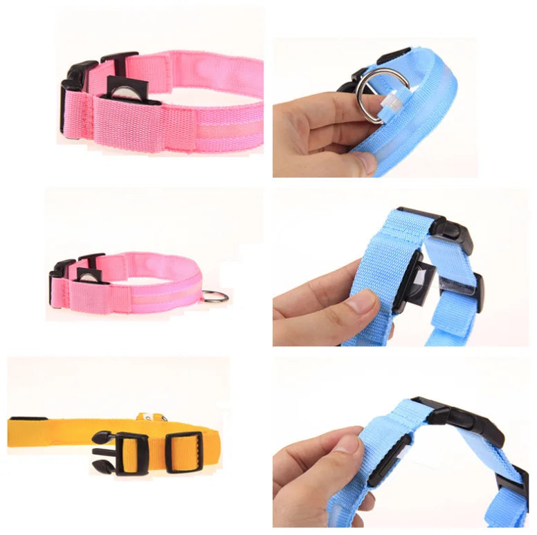Nylon LED Dog Collar Rechargeable Glow Safety