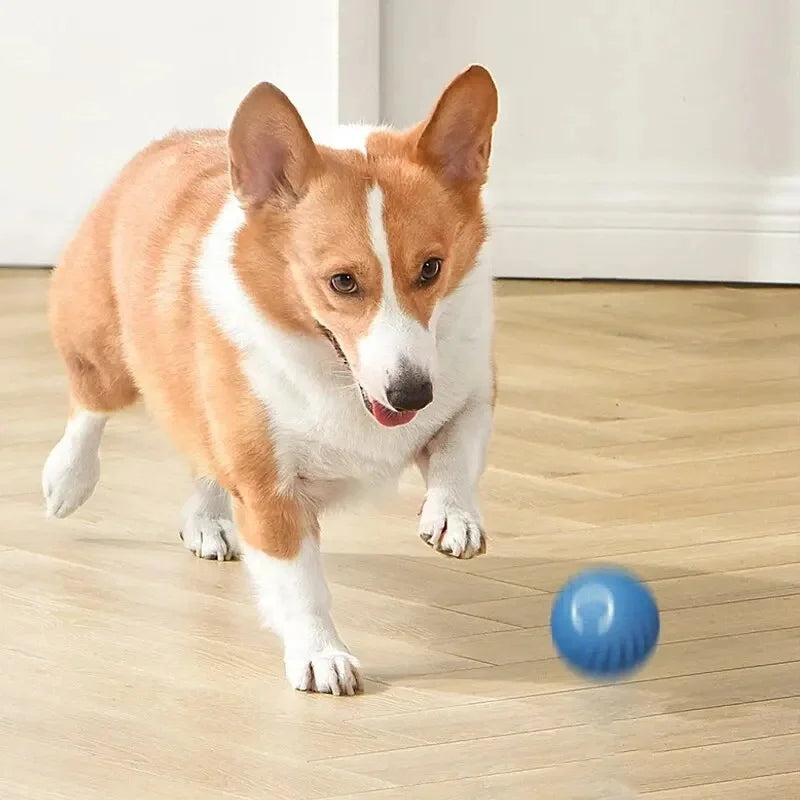 USB Smart Bouncing Ball Interactive Dog Toy