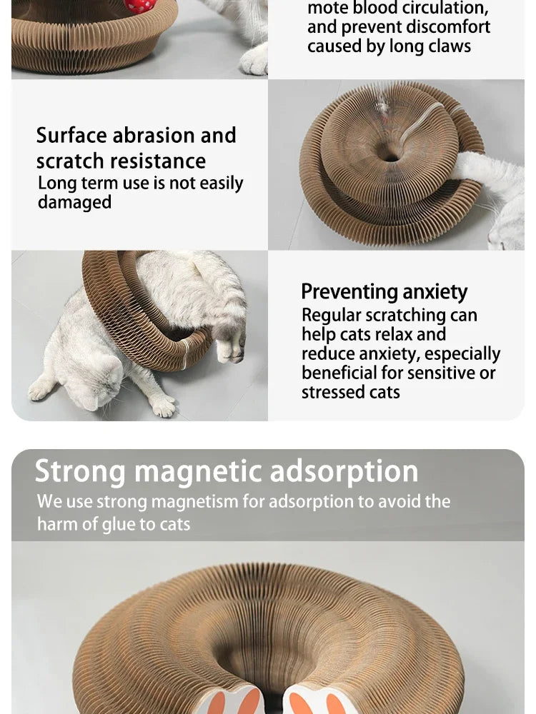 Organ Shape Cat Scratcher with Bell Toy