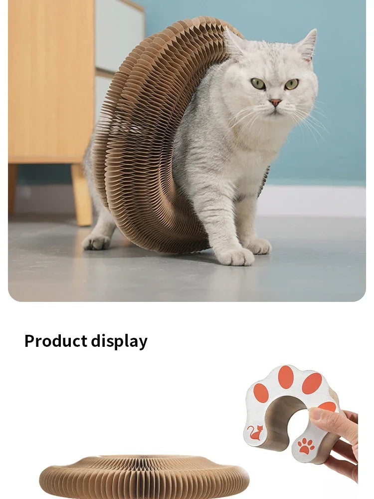 Organ Shape Cat Scratcher with Bell Toy