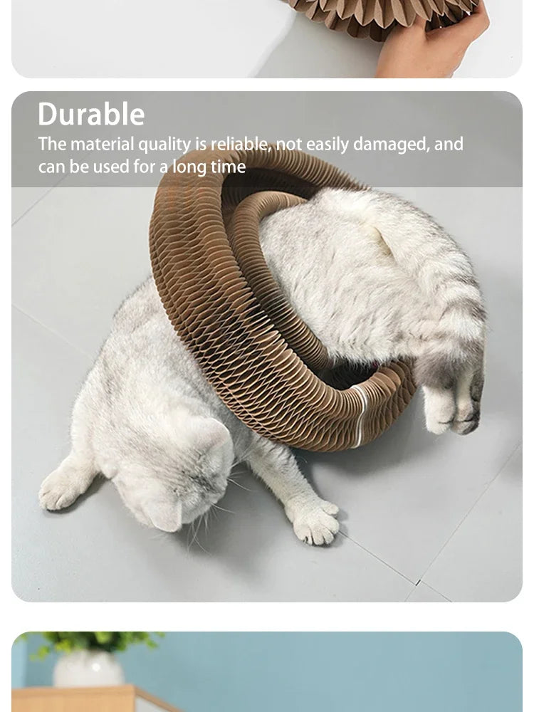 Organ Shape Cat Scratcher with Bell Toy