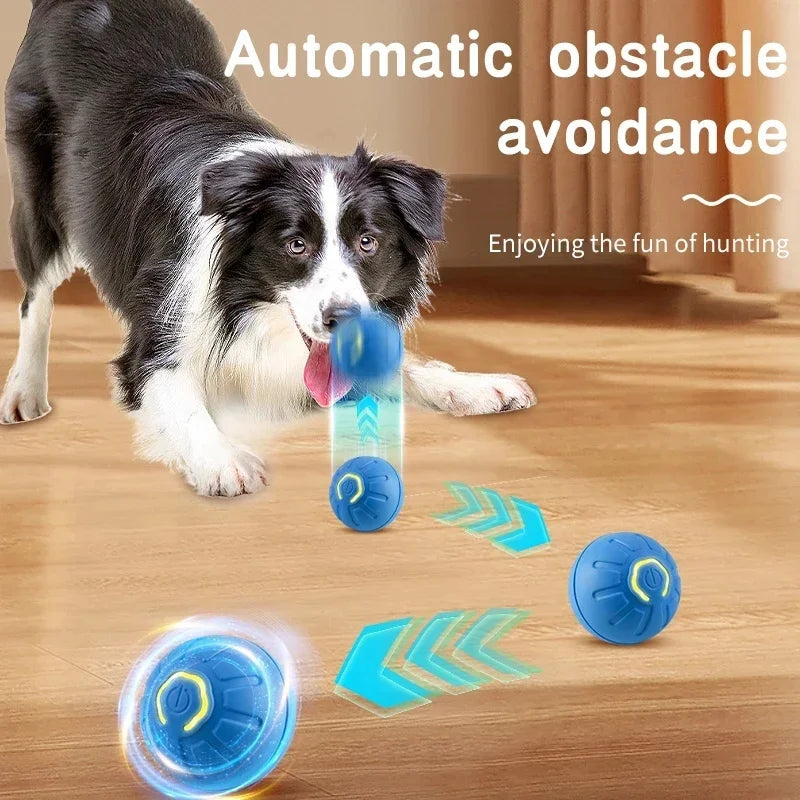 USB Smart Bouncing Ball Interactive Dog Toy