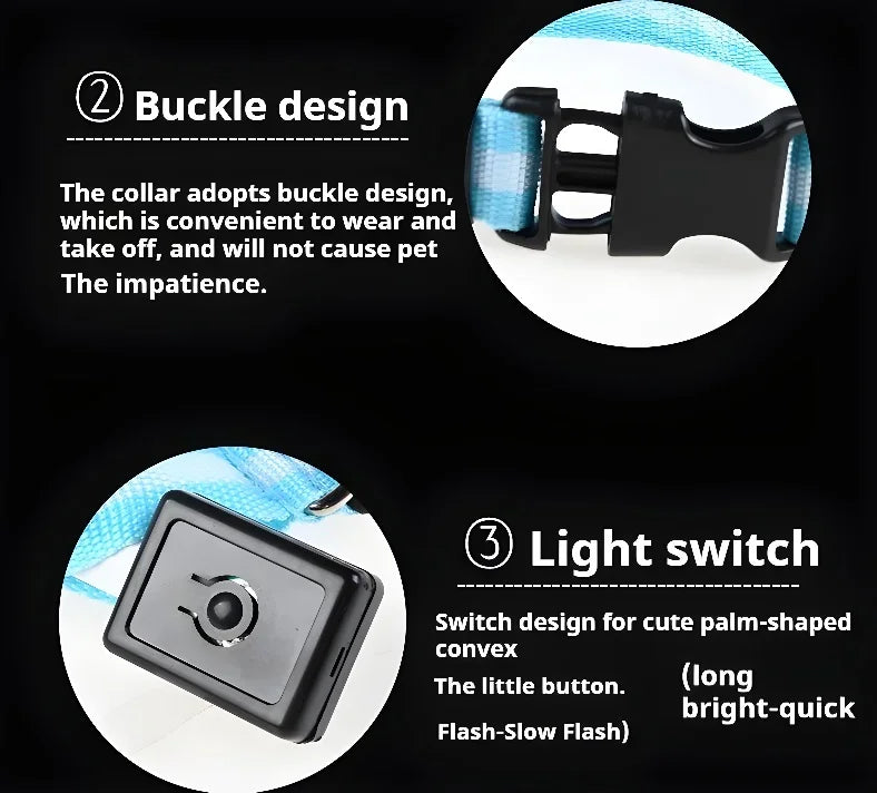 Nylon LED Dog Collar Rechargeable Glow Safety