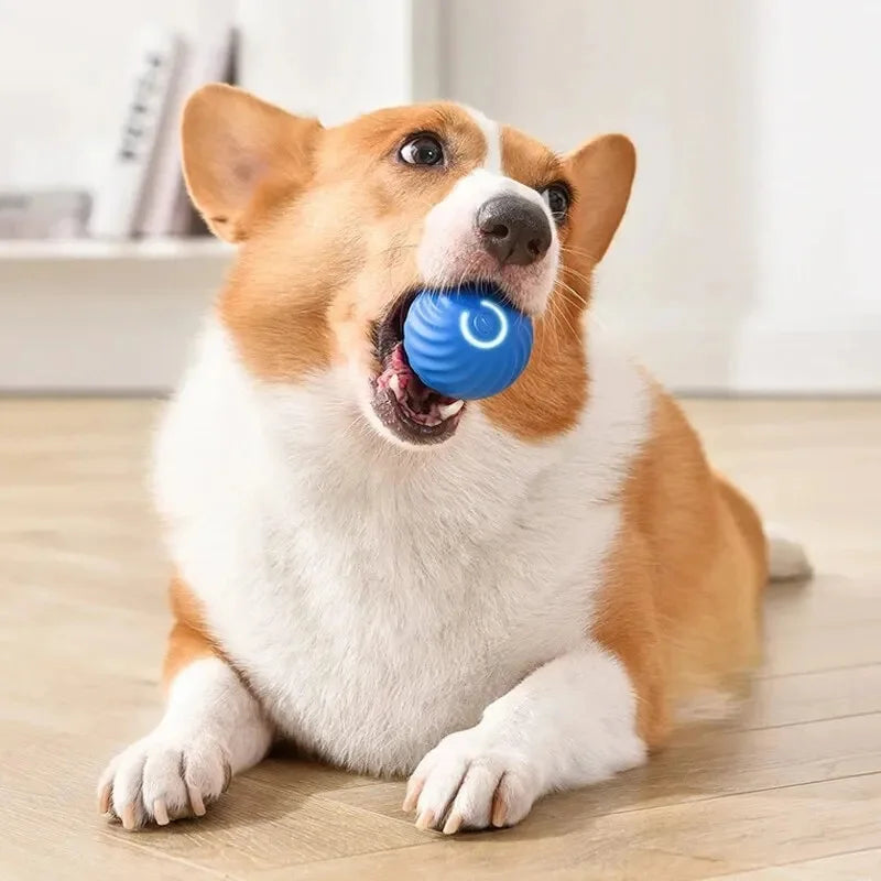 USB Smart Bouncing Ball Interactive Dog Toy