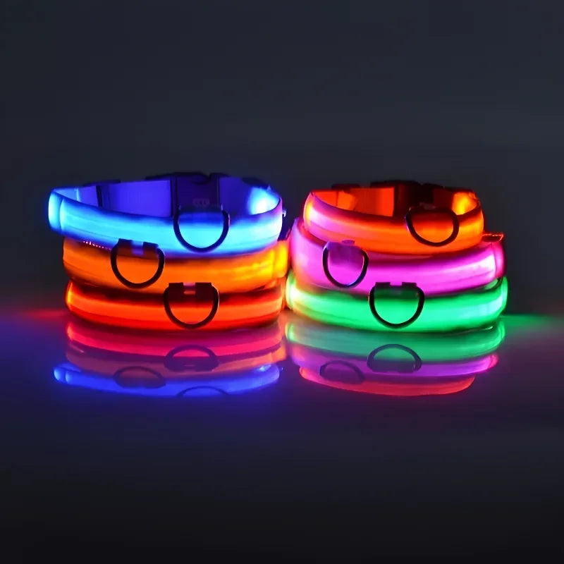 Nylon LED Dog Collar Rechargeable Glow Safety