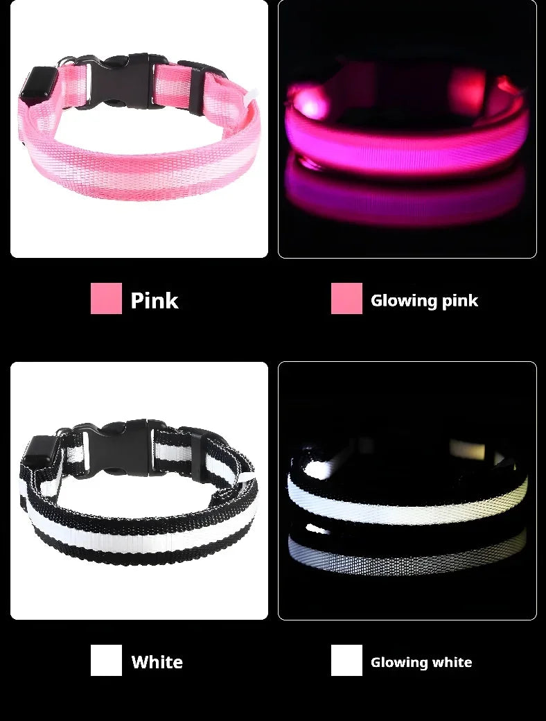 Nylon LED Dog Collar Rechargeable Glow Safety
