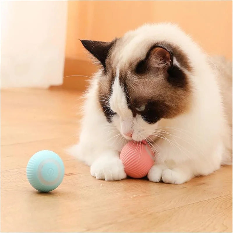 USB Smart Bouncing Ball Interactive Dog Toy
