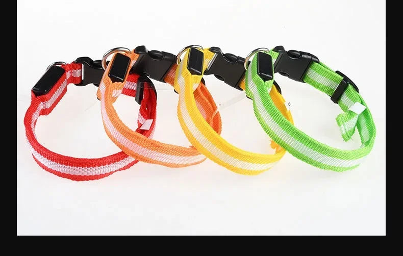 Nylon LED Dog Collar Rechargeable Glow Safety