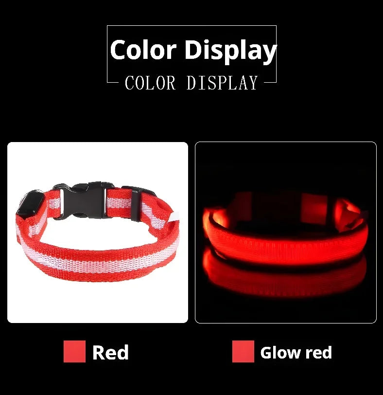 Nylon LED Dog Collar Rechargeable Glow Safety