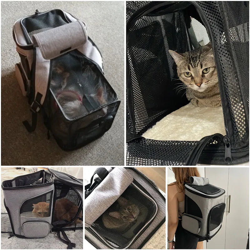 Foldable Expandable Pet Carrier Backpack For Travel