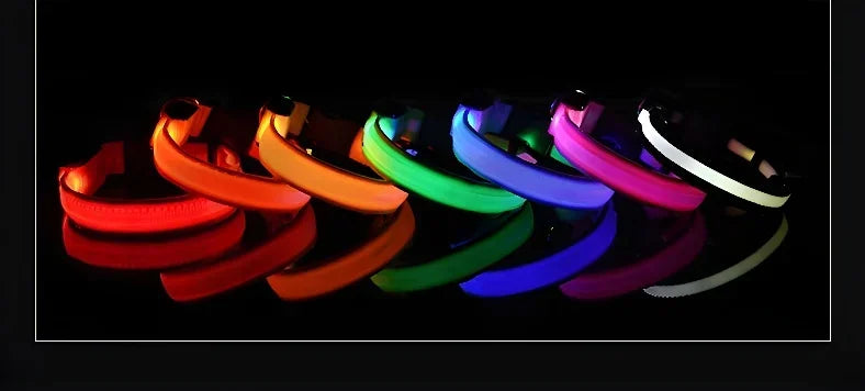 Nylon LED Dog Collar Rechargeable Glow Safety